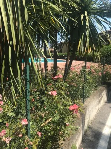 antonellagardalake - Image 1