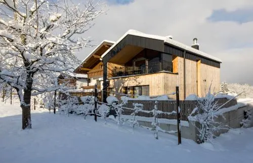 Sonnblick Appartement - Image 1
