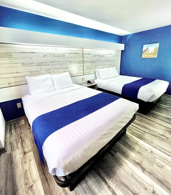 Microtel Inn & Suites By Wyndham Tomah - Image 1