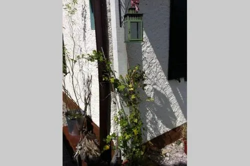 Haus Tulpe - Image 1