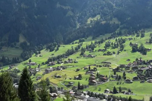 Hotel Du Sauvage Grindelwald - Image 1