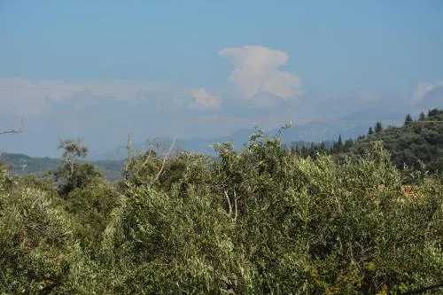 Elena - Kostas - Image 1