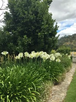 Walnut Cottage-The Country Retreat - Image 1