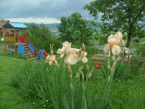 Agriturismo La Borgaccia - Image 1