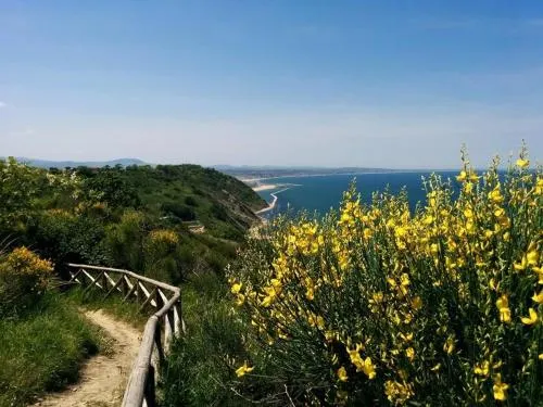 Ca' Verde - Image 1
