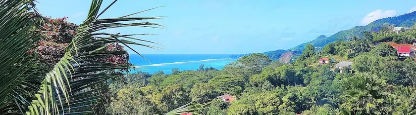 Albizia Lodge - Image 1