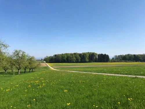 Boutique-Pension seeherberge - Image 1