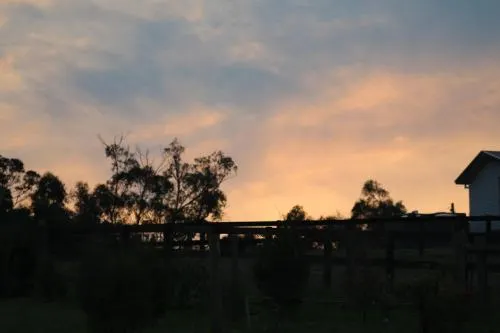 Nyora Lodge B&B - Image 1
