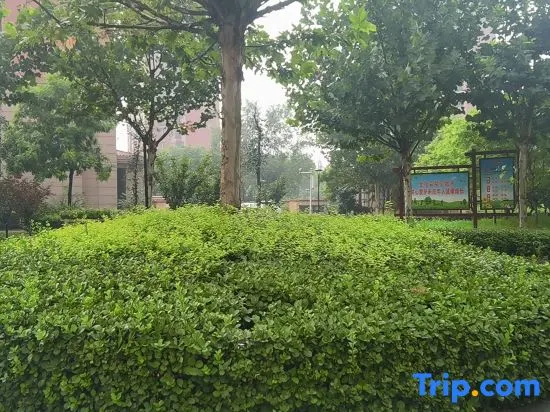 Tianjin Yujujusu - Image 1