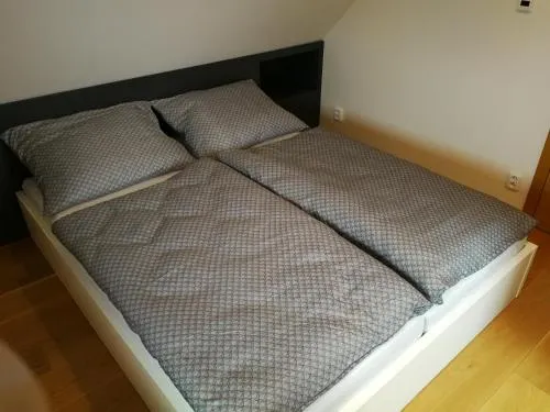 Luxusni Apartman Pavlov - Image 1