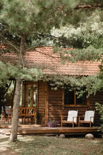 Cozy Remote Cabin On A Lakeshore - Image 1