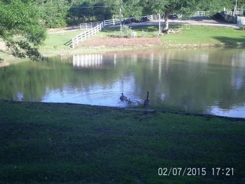 Oak Grove Apartment Hattiesburg, MS - Image 1