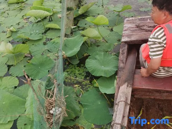 Weishan Wangshuiloutai Homestay - Image 1