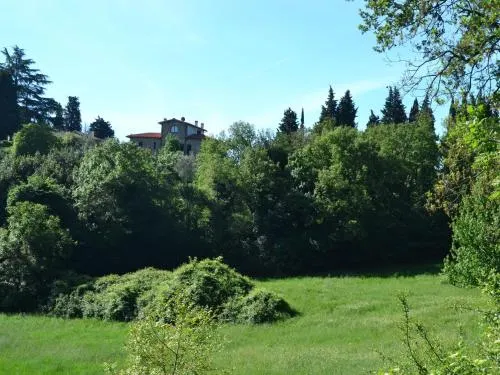 Canaiolo - Image 1