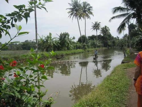 GK's Riverview Homestay - Image 1