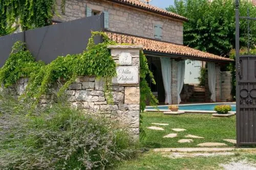 Charming Stone Villa Pakich with Private Pool - Image 1