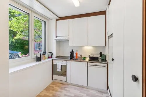 Spacious Apartment in the heart of Zurich ZLTWG66APT1 - Image 1
