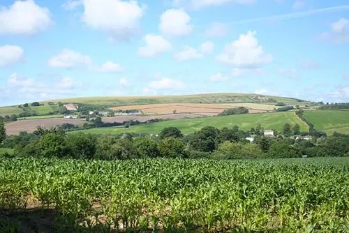 Tawstock Castle - Image 1