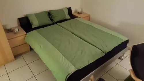 Ferienwohnung mit Sicht auf die Berge (Nahe Flims/Laax) - Image 1