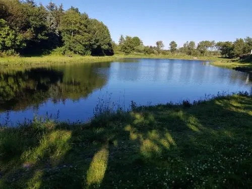 Himmerlands Fiskepark & Camping - Image 1
