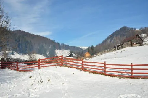 Pensiunea La Ionica - Image 1