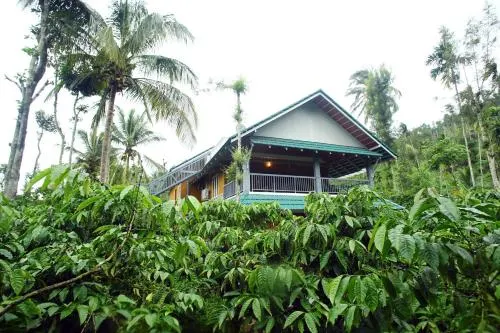 Field View Estate Bungalow - Image 1