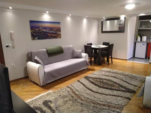 Apartment Dedinje - Image 1
