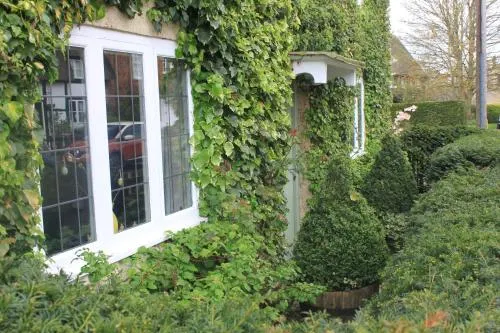 Ivy Cottage - Image 1