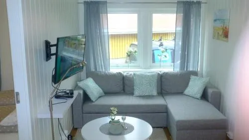 Ellingsen Apartment Falcks Gate - Image 1