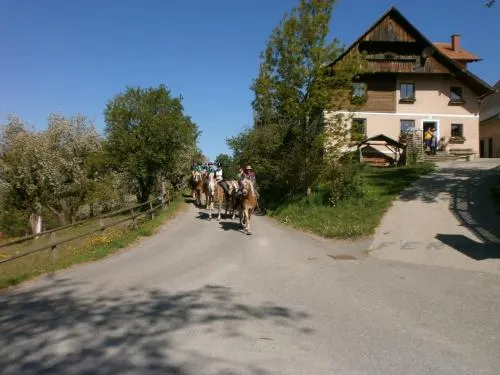 Reitbauernhof Ferner - Image 1