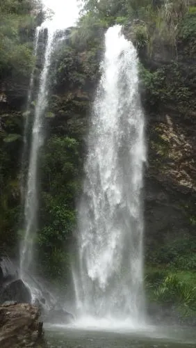 Springbrook Storybook - Image 1