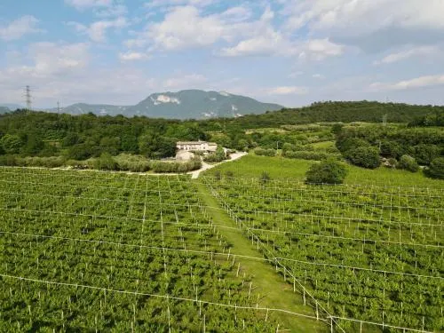 Serene Holiday and Wine Farm - Image 1