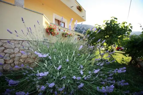 Apartments Sersic - Image 1
