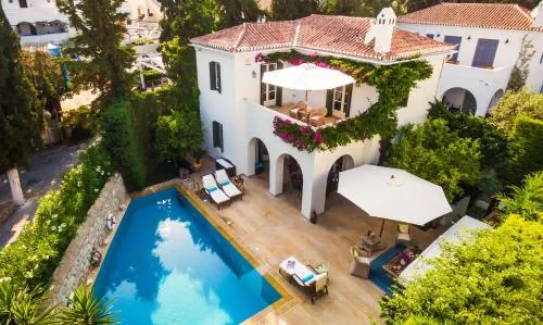 6 bedrooms villa with private pool enclosed garden and wifi at Spetses - Image 1