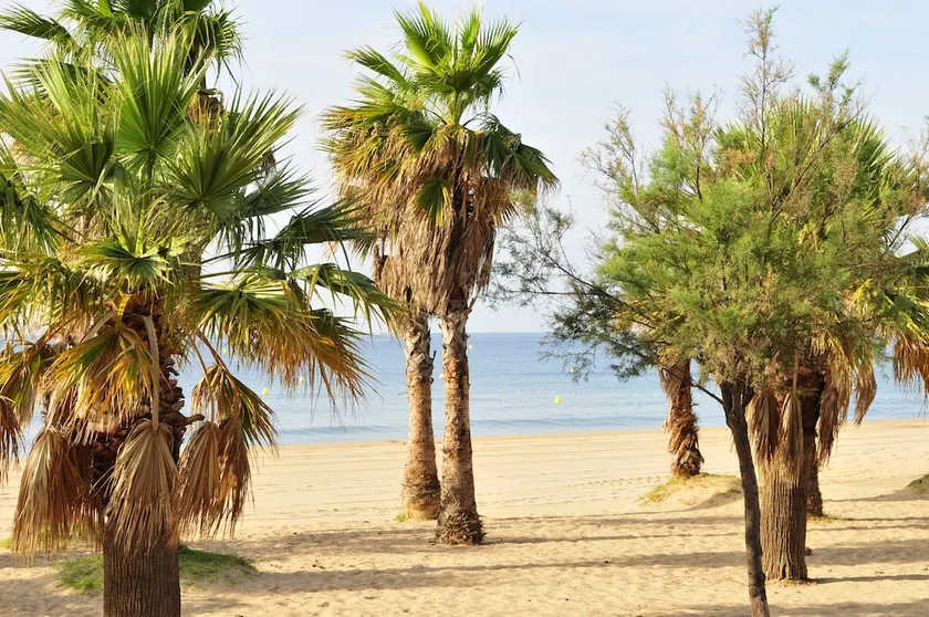 Hôtel club Vacanciel de Port-Fréjus - Image 1