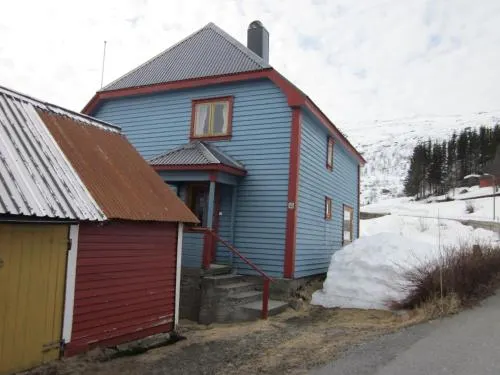 The Blue House Røldal - Image 1