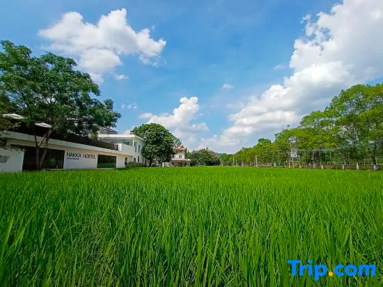 Hakka Hostel - Image 1