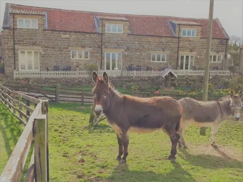 Meadowbeck Holiday Cottages - Image 1