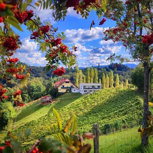 Weingut Winzerzimmer Toso - Image 1