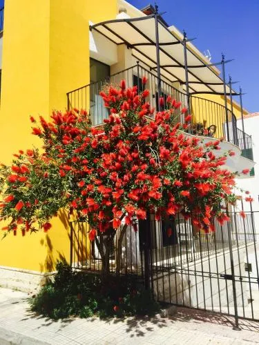 B&B Bel Orizzonte - Image 1