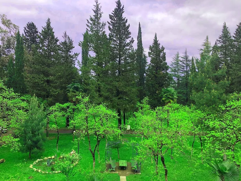 Hostel Botanical Garden - Image 1