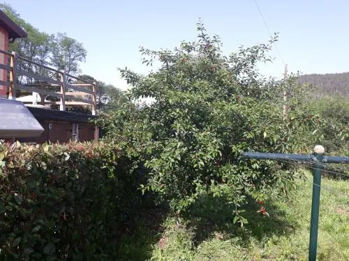 Villa Livia - Image 1