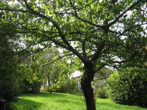 Maison Mue - Image 1