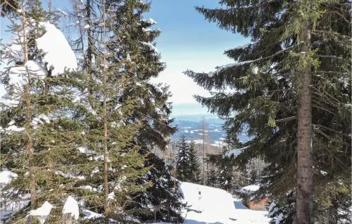 Apartment Hochrindl - Image 1