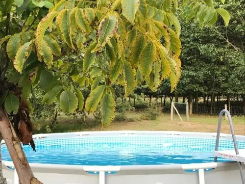 Villa With 6 Bedrooms In Valenca With Private Pool And Wifi - Image 1