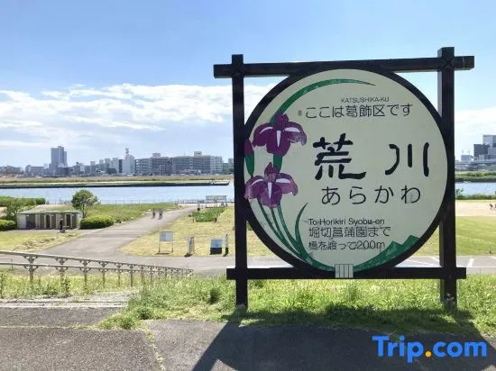 Nagomi An - Image 1