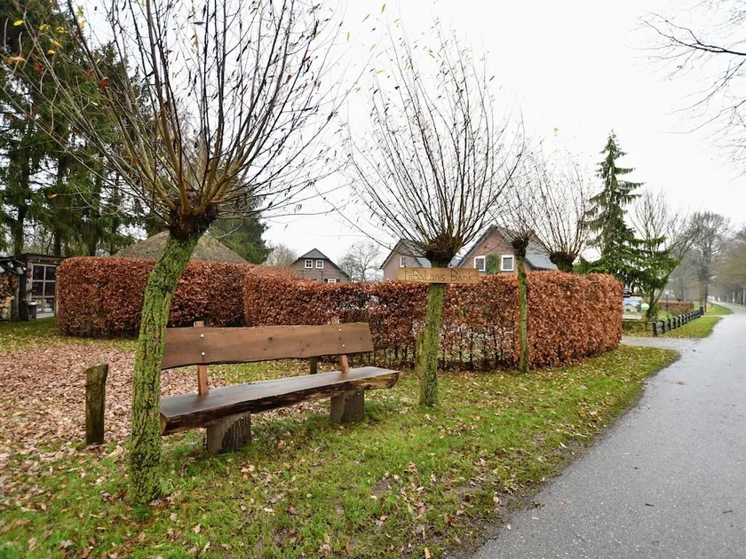 ranquil Holiday Home in Bronckhorst near Forest" - Image 1