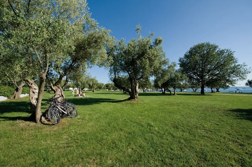 Campsite Polari - Image 1