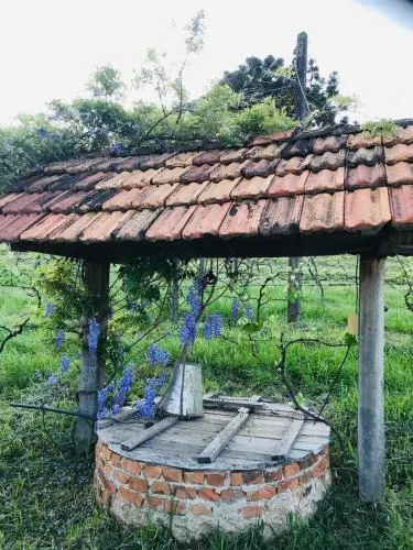 Casa de Ines em Santana - Image 1