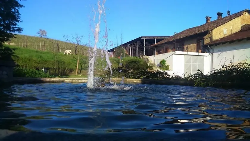 Agriturismo Gran Collina - Image 1